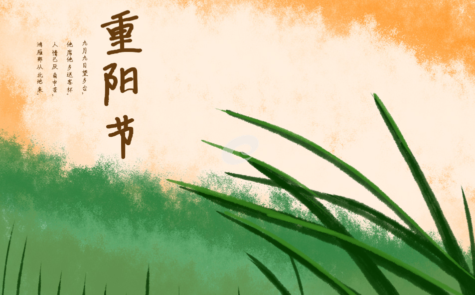 重阳节为什么要插茱萸呢