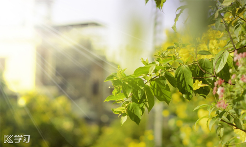 最美的关于中秋节的诗词_最美的中秋诗词