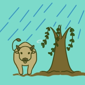 清明下雨的科学解释