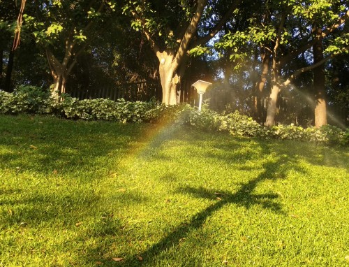 2023大暑节气的禁忌有哪些