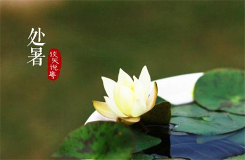 1594868293188395.png 关于处暑节气由来和起源