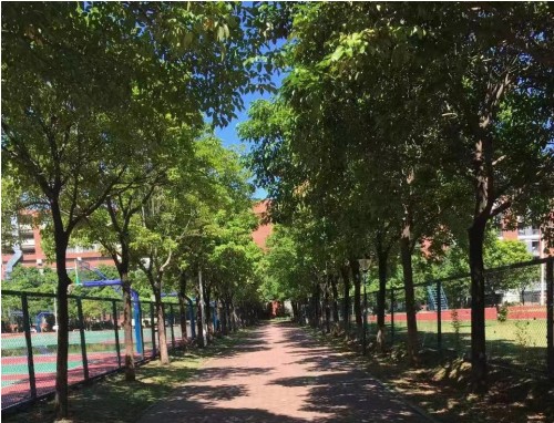 三伏天的头伏注意事项