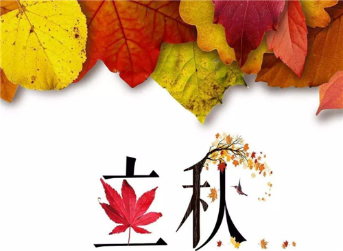 1593589876555641.png 关于立秋气候特点和温度