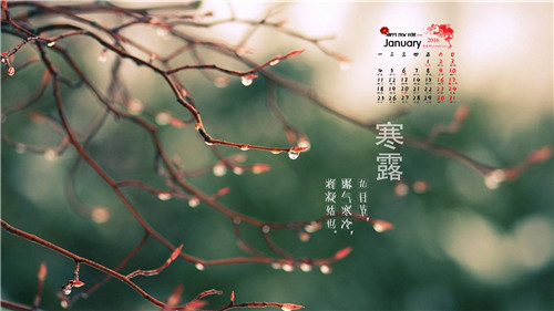 1599638743943389.jpg 寒露养生禁忌_寒露饮食推荐