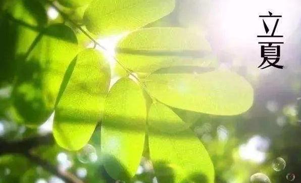 描写立夏的诗句古诗词_立夏时节的诗句欣赏