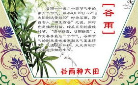 小学24节气谷雨手抄报图片_谷雨时节手抄报内容