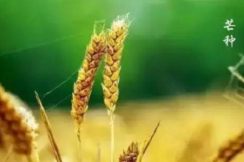 1589514689316037.jpg 360截图20200515111916899.jpg