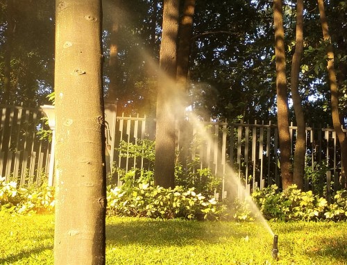 2023小暑节气如何进行养生