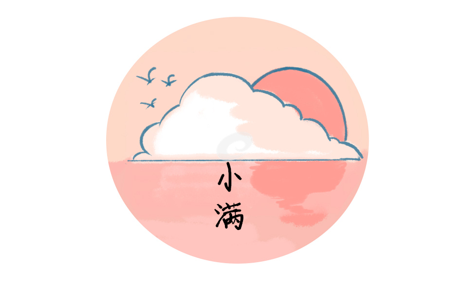 小满期间吃什么最好