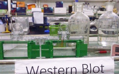 第四节二氧化碳的实验室制法化学教案（通用7篇）