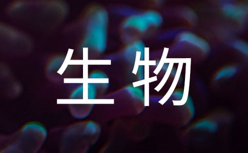 八年级生物教案人教版(12篇)