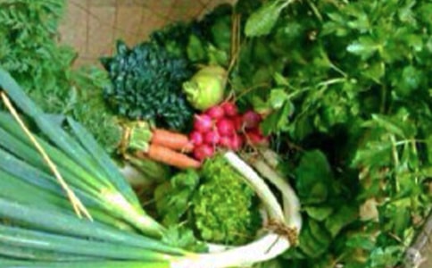 一年级体育与健康教案