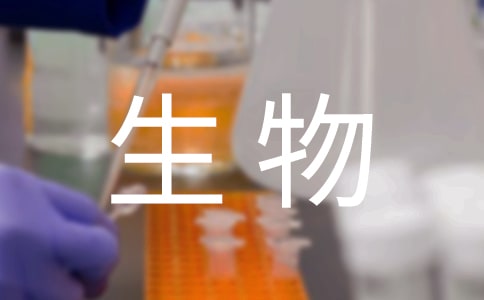 《表里的生物》教案精选10篇