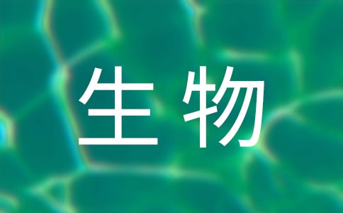 高中生物教案【热门】