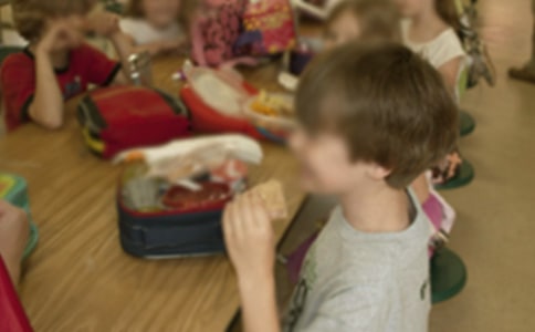 关于幼儿园体育活动教案模板锦集八篇