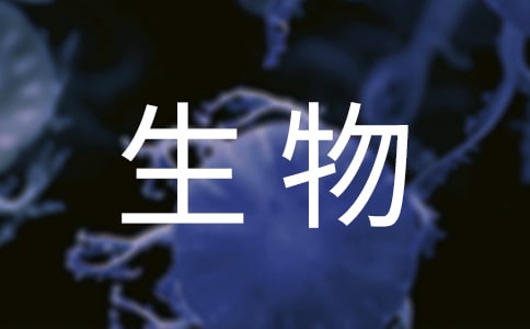 高三生物教案(12篇)