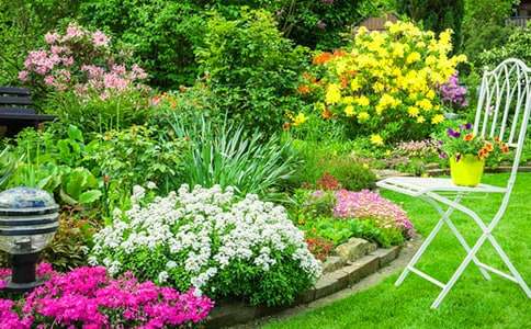 巨人的花园说课稿