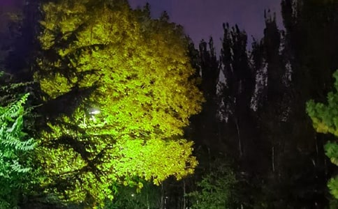 简单的晚安正能量的语录锦集39条