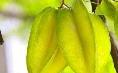 画杨桃说课稿15篇