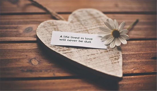 简洁的网络爱情语录集合15篇